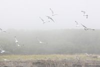 img_1987