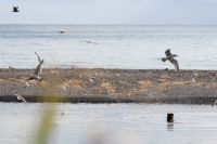 img_3090