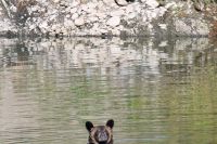 img_3240