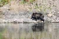 img_3301