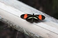 img_4711