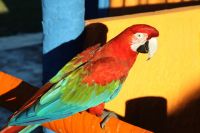 img_7969