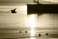 img_9008