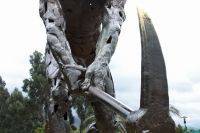 img_1895