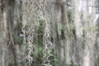img_2178