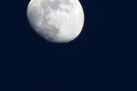 img_2901