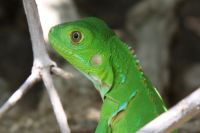 img_2980