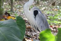 img_0674
