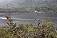 img_1528
