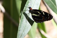 img_1633