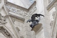 img_6004