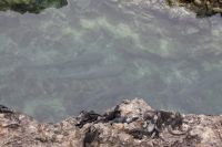 img_0144
