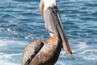 img_7760