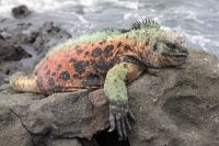 img_8519