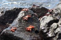 img_8539