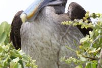 img_8582
