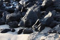 img_6453