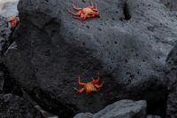 img_6505