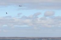 img_7124