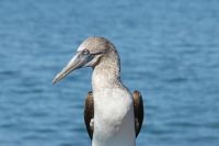 img_7808