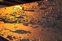 img_1968