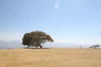 img_3301