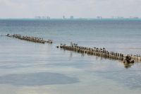 img_4800