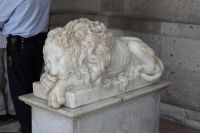 img_6010