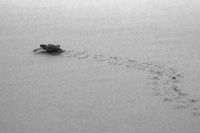 img_6113-2