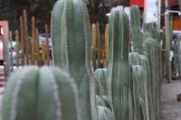 img_5501