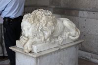 img_6010