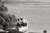 img_9391