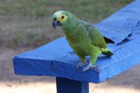 img_8766