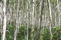 img_1550
