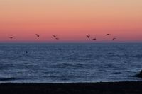 img_2146
