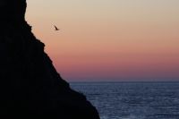 img_2160