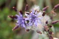 img_3952