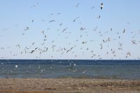 img_4571