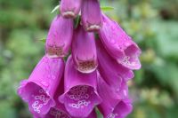 img_0519
