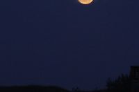 img_4677