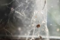 img_1367