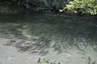 img_1478