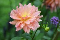 img_2849