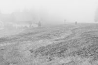 untitled-1