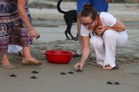 img_5851