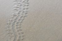 img_6649