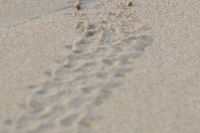 img_6653