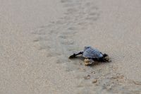 img_6670