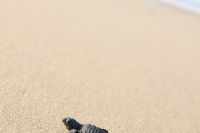 img_6949