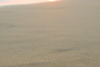 img_7933